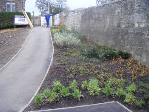 Volunteer Planting Volunteer Planting