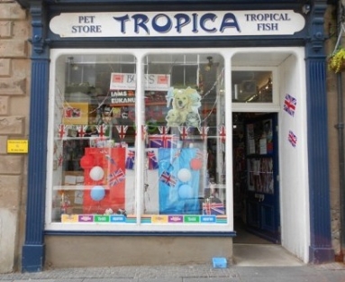 Tropica